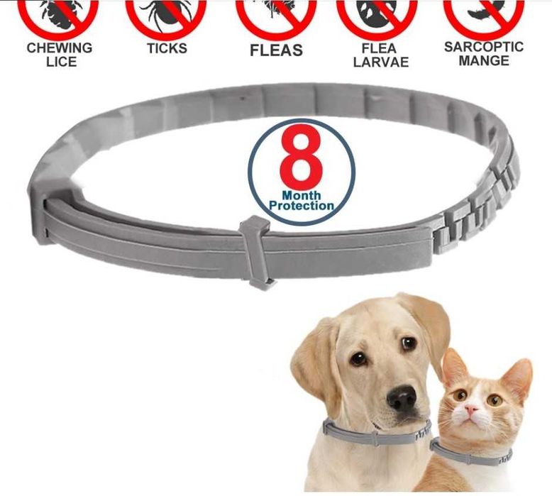 zgarda antiparazitara caini si pisici