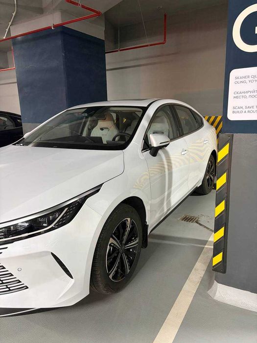 Chazor , 4 поз, 2025 года выпуска