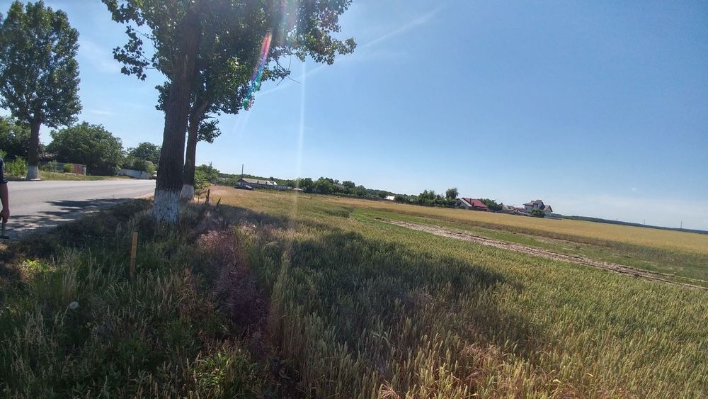 Teren Buftea | Strada Milano | intravilan