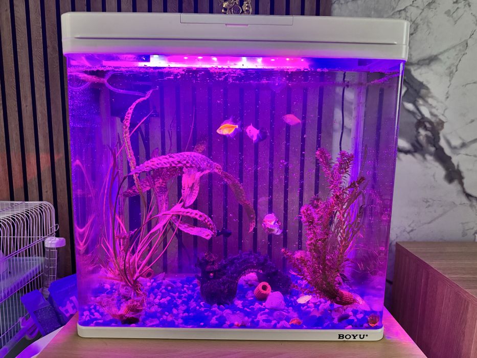 Продам аквариум