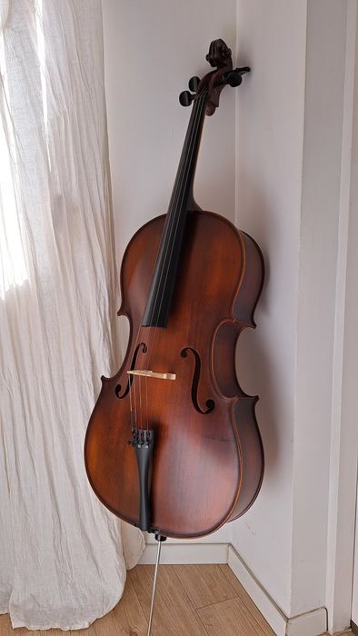Violoncel 4/4 Reghin