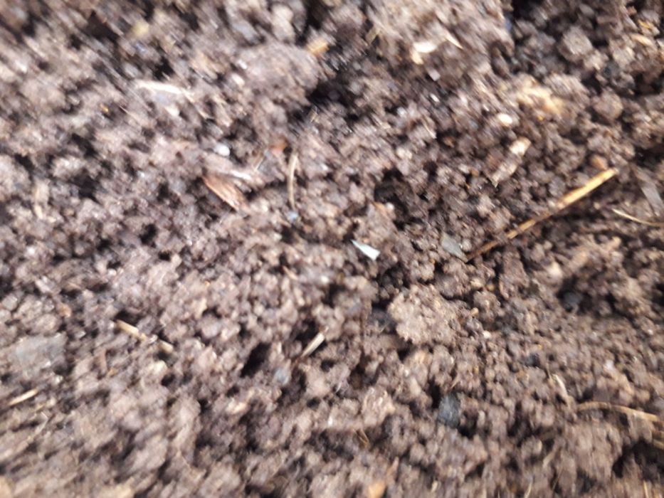 Biogomus sotish uchun