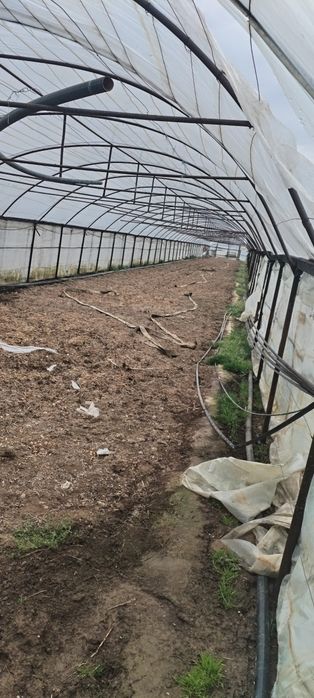 Vand Solar complet 100x6,5 metri