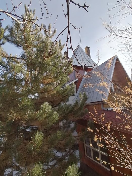 Cabana Revelion 2026 Statiunea Muntele Baisorii