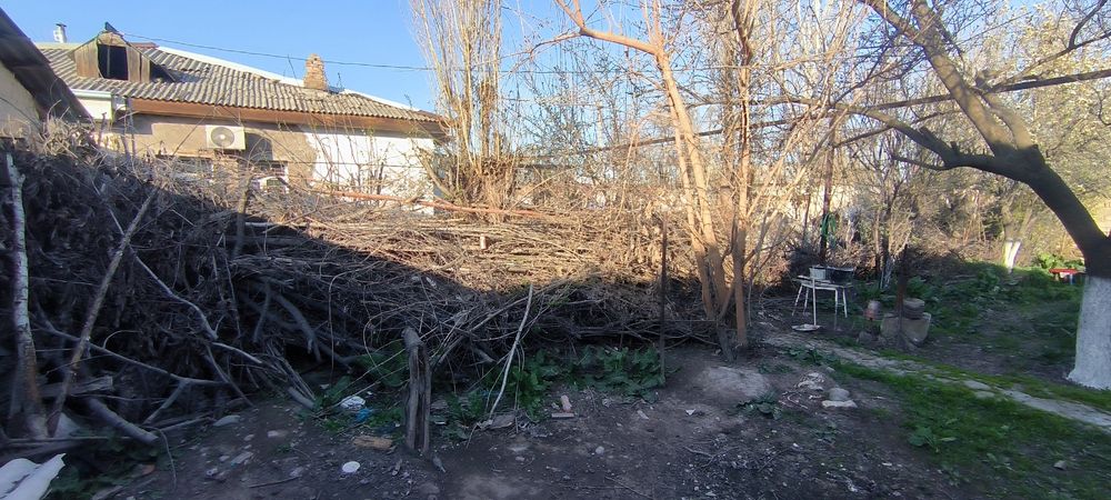 Otin bor sumale holagan narselaga tekin