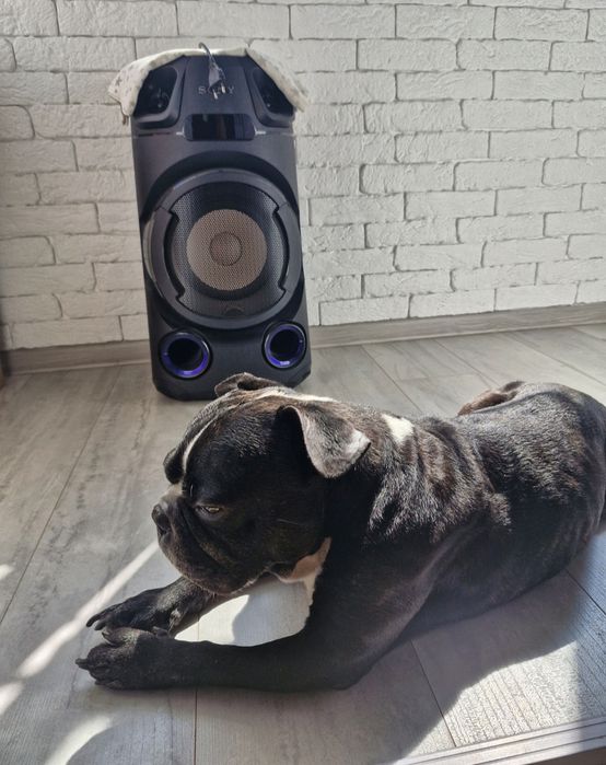 Продам колонку Sony