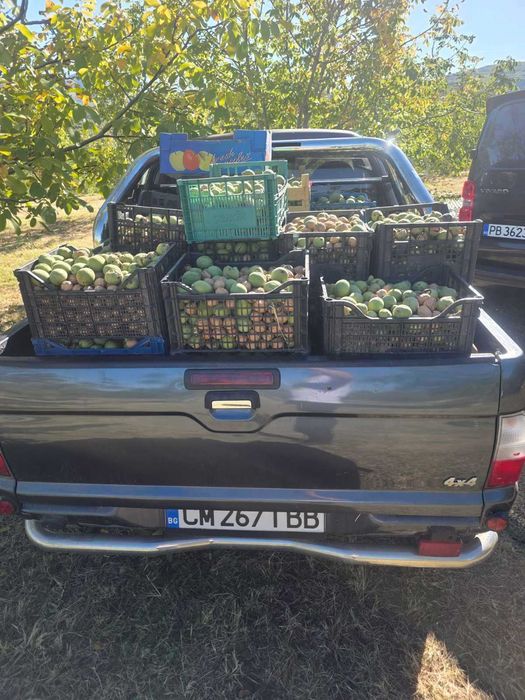 Продава се Земеделски имот в с. Горнослав, Област Пловдив за 4725 €/дка - Снимка #14