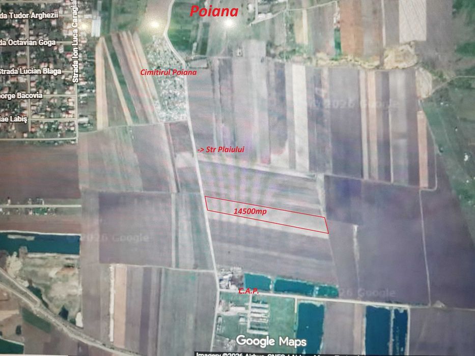 Teren Extravilan Agricol in  Poiana Turda 14500 mp INTABULAT