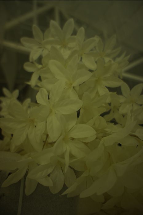 Продам камеру Sony Alpha NEX-5