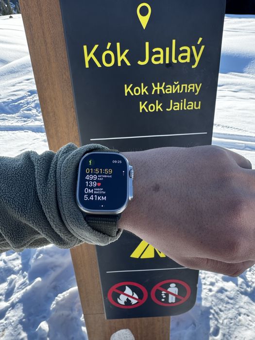 Аргамак Аренда Санки