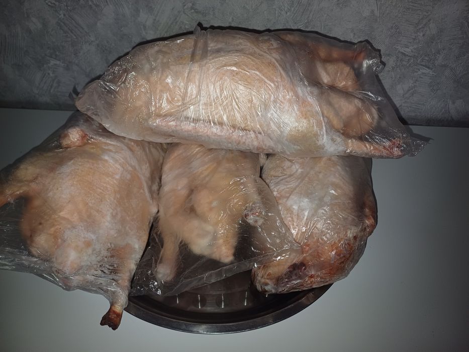 Мясо домашних гусей