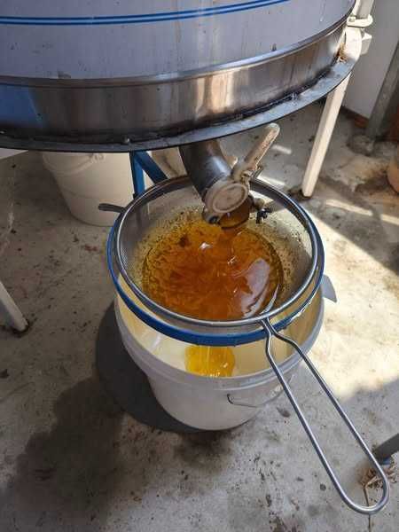 Пресен пчелен мед