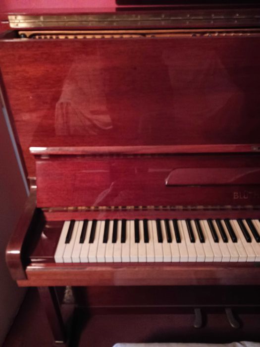 Пиано Julius Bluthner