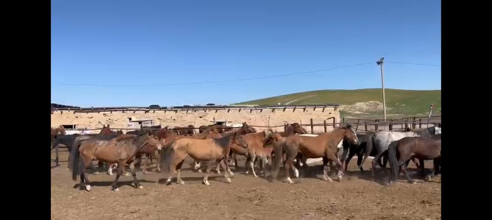 Oppo i5 с гарантией