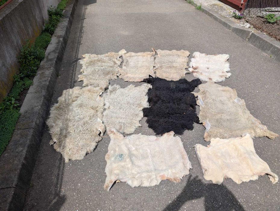 Piele(blană)de miel argăsită