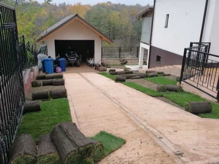 Gazon Rulou Calitate extra