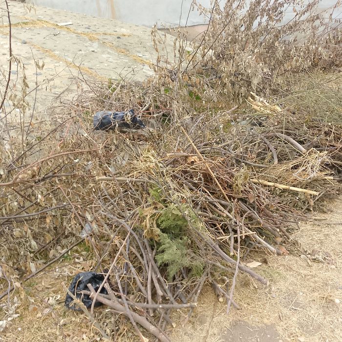 Драва утин хезум