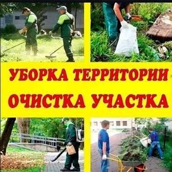 Поссев газона и Клевер
