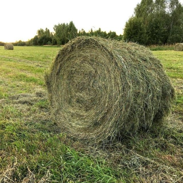 Тюки и в  рулонах продается