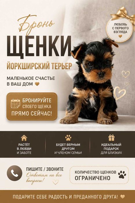 Щенки Йоркширский терьер