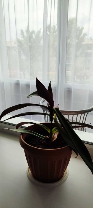 Суточно /район Школьник/ SMART TV/Комфорт