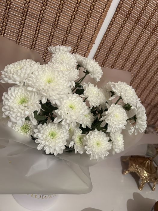 Гүл:хризантема бағасы 8000тг