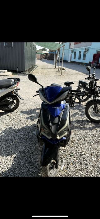 мопед веном тартысы зверь