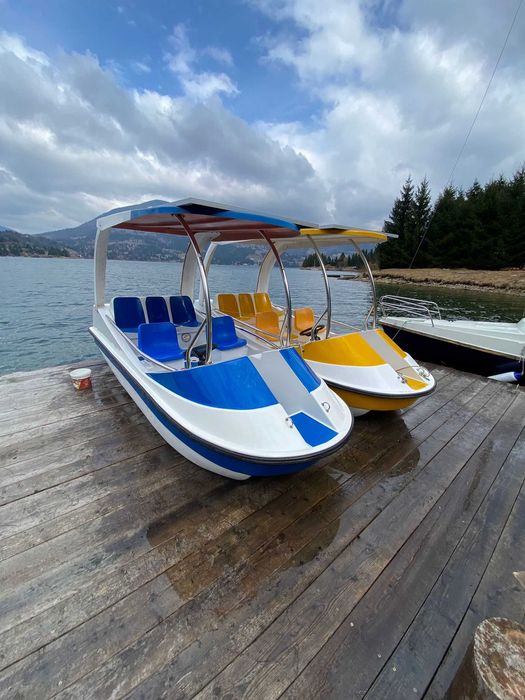 Barci electrice agrement