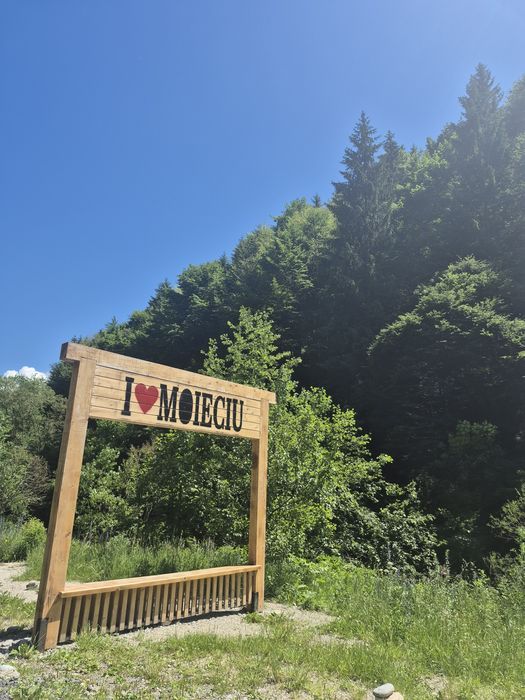 Casa Carina Cazare Moieciu De Sus