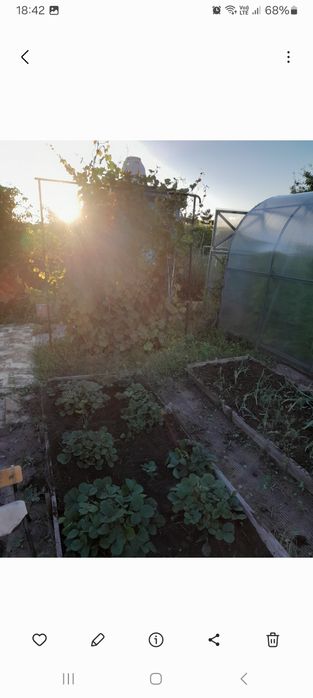 Продам дачу 18 маршрут