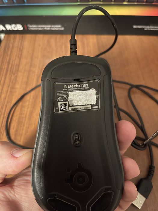 Steel Series Rival 310