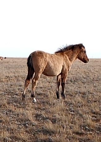 Жұмысшыларды ұрып жатқан порно видео