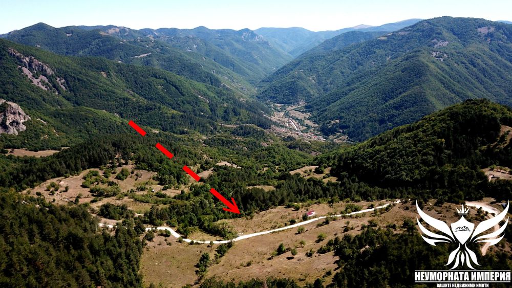 Продава се Парцел в с. Борово, Област Пловдив - 8188 кв.м за 10 €/кв.м - Снимка #2