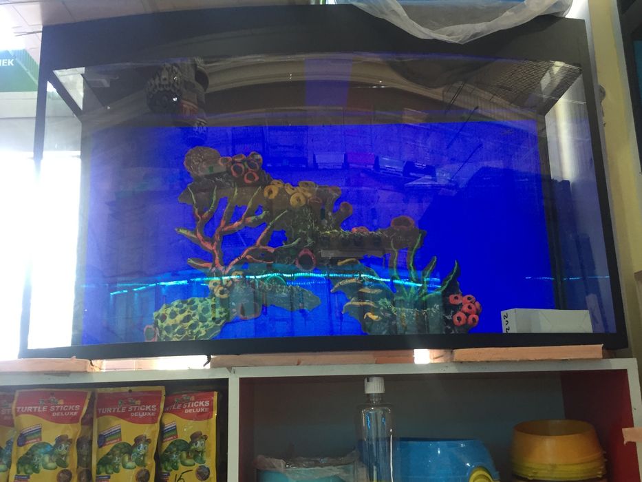 Авални аквариум барча размерда бор