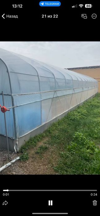 Парник тез  сотилади