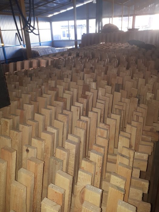 Штакетник сосновый,