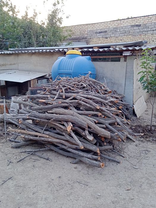 Утин бор сотилади