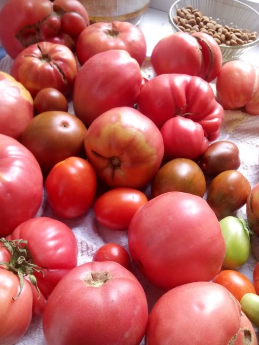 Продажа участка!