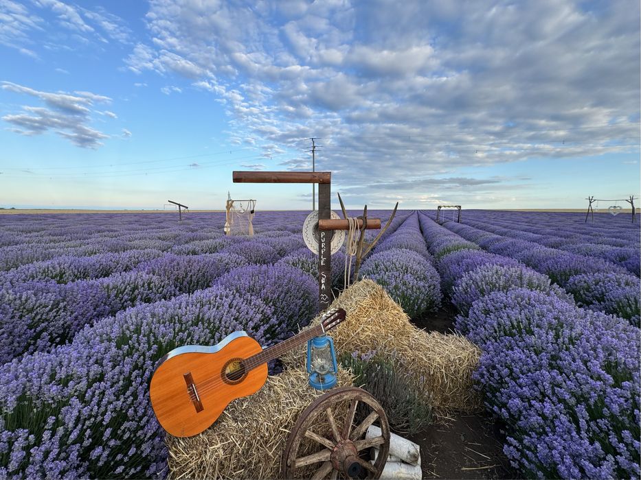 БИО етерично МАСЛО от ЛАВАНДУЛА , лавандулово масло