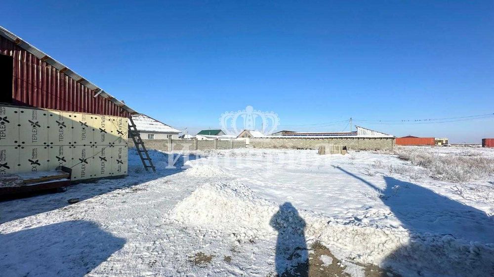 4х Коктал Айгерим К Империя