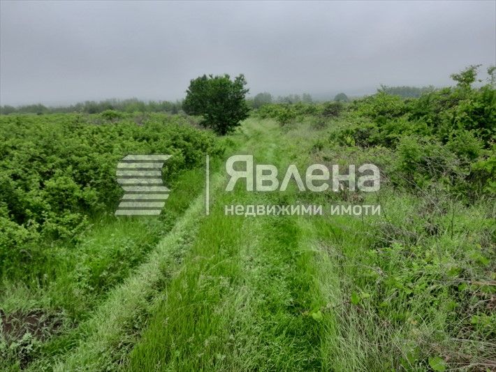 Продава се Земеделски имот в с. Белащица, Област Пловдив -  кв.м за 25 €/дка - Снимка #1