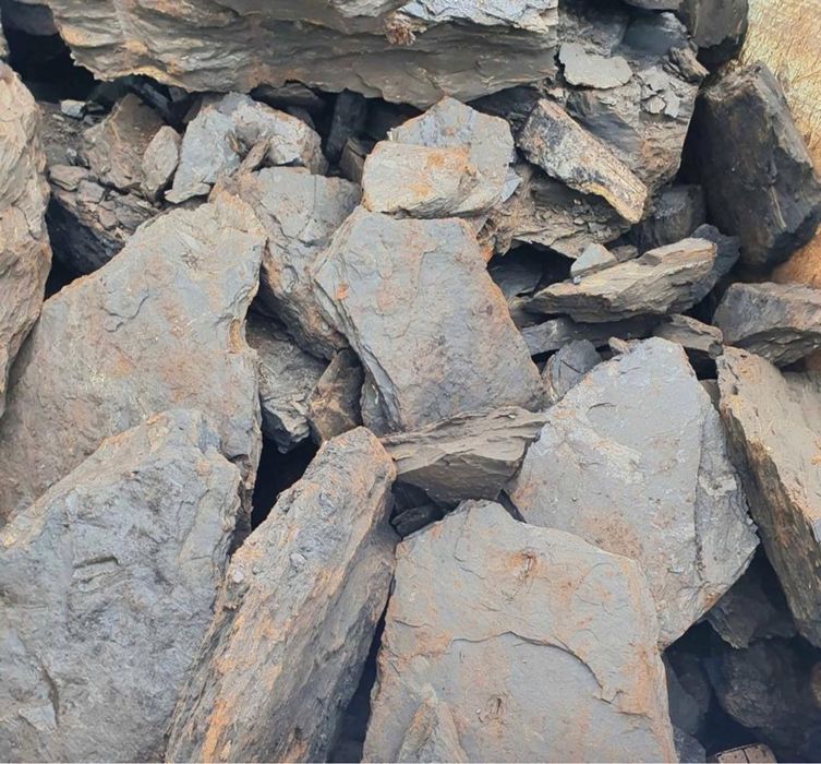 Cărbune lignit pentru centrale termice