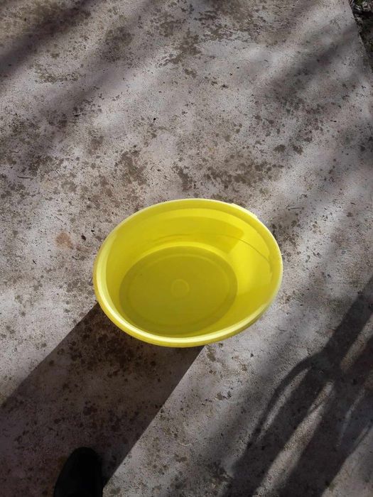 Празни баки,много здрави