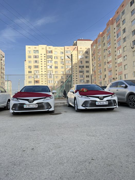 Аренда авто с водительм