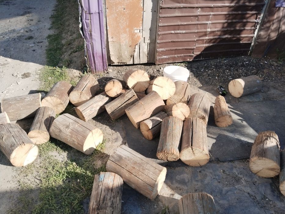 Отын ағаш дайын кесілген