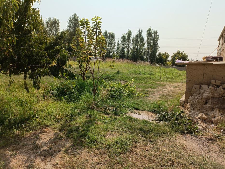 Кибрай тумани, Фаровон махалла, ТашГРЭС жилой ер, участка