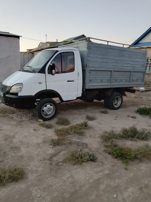 Газель бартавой 3302