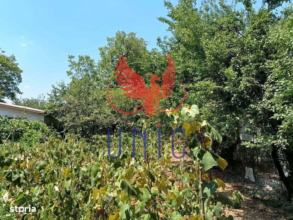 Teren Drumul Muntenilor, 980 mp, 2 deschideri