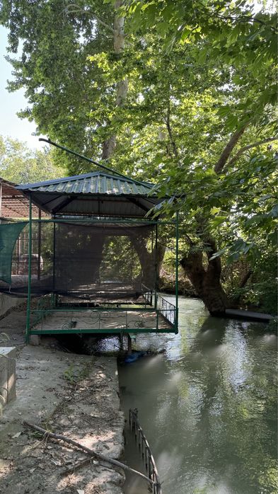 Tadbirkorlik uchun suv boyida 5,4 sotix joy sotiladi  !