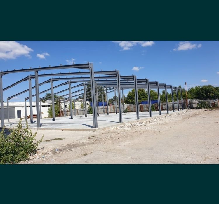Vand hala metalică 20x55x4